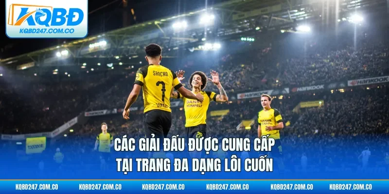 Các giải đấu được cung cấp tại trang đa dạng lôi cuốn