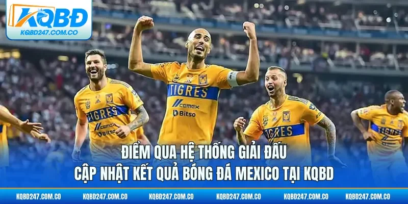 Điểm qua hệ thống giải đấu cập nhật kết quả bóng đá Mexico tại KQBD
