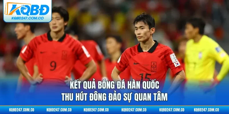 Kết quả bóng đá Hàn Quốc thu hút đông đảo sự quan tâm
