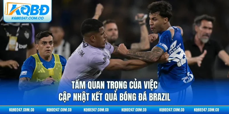 Tầm quan trọng của việc cập nhật kết quả bóng đá Brazil