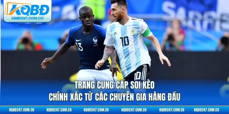 Trang cung cấp soi kèo chính xác từ các chuyên gia hàng đầu